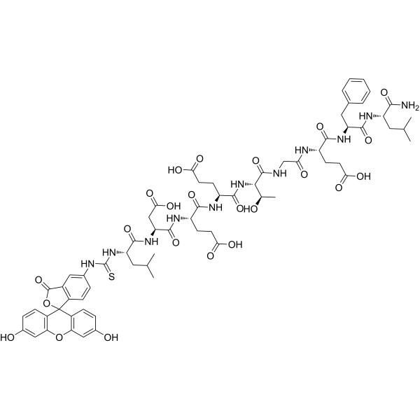 FITC-labeled Keap1-Nrf2 probe
